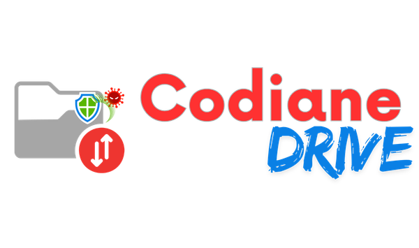 Codiane Drive - La Sécurité de vos Données